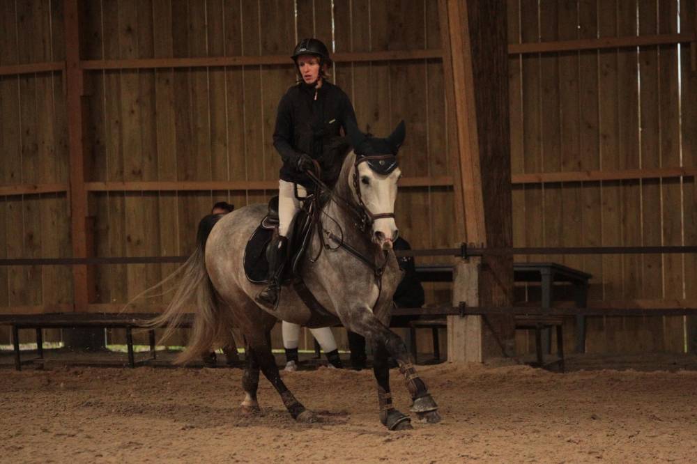 dressage près de Avrillé 
