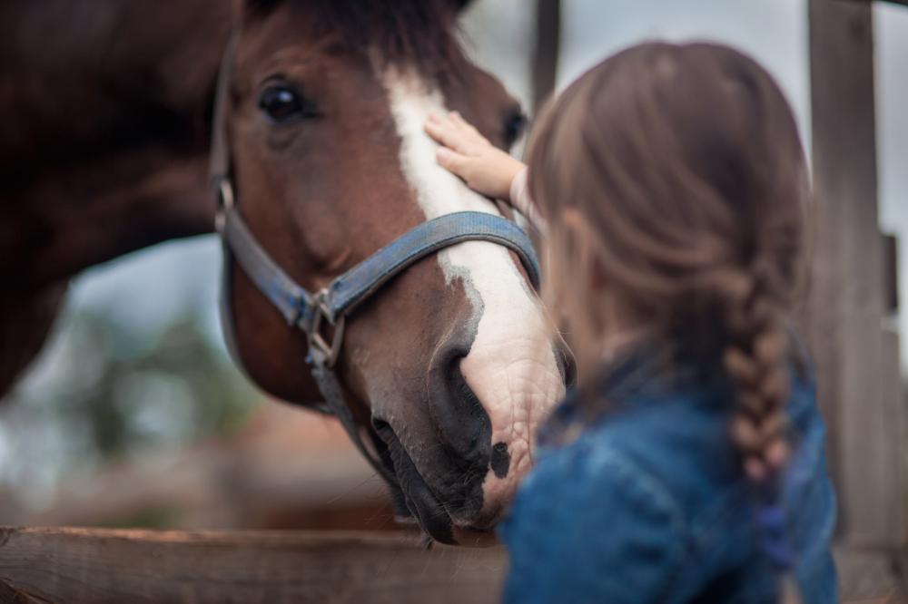 petite fille caresse cheval